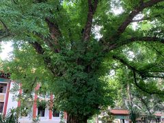 -太平馆西餐厅(北京路店)