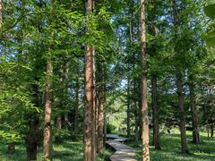 -国家植物园南园