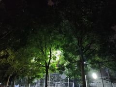 -海南热带海洋学院(三亚校区)