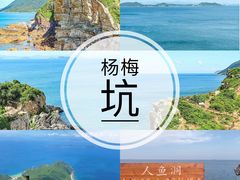 -杨梅坑