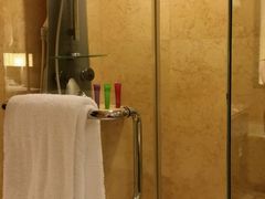 -新加坡乌节希尔顿酒店 (SG Clean)