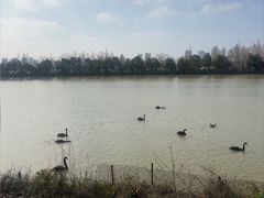 -艾溪湖湿地公园