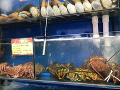-蚝专家(北滘店)