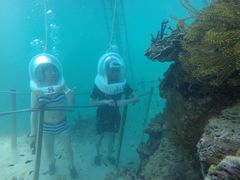 -东姑阿都拉曼海洋公园