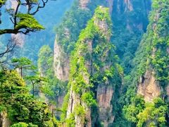 -业华湘·特色菜