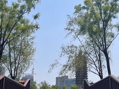 -西海子公园