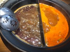 任意锅底-呷哺呷哺 黄金牧场 (阳泉滨河新天地店)