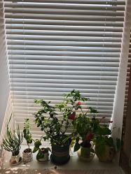 -S&G Beauty轻奢皮肤管理中心