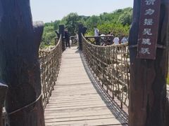 -北京西山国家森林公园