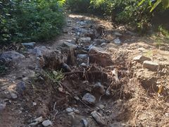 -大觉寺-停车场