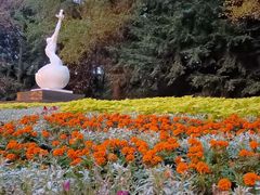 -杭州植物园