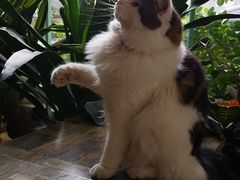 -小时光咖啡馆(北锣鼓巷店)