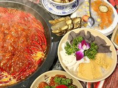 -蜀大侠火锅(建设路第五大道店)
