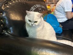 -拳盛时代拳击俱乐部(北京路店)