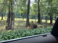 -秦皇岛野生动物园