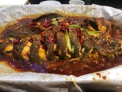 招牌香辣味清江鱼-鱼颜诱纸纸上烤鱼·蛙(龙湖天街店)