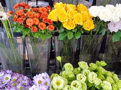 -ChaKo Flora ·茶子花艺 (市北店)