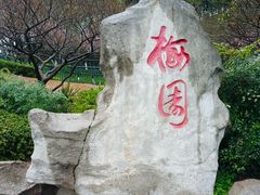 -重庆彩云湖湿地公园