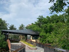 -东寨港红树林旅游区