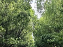 -同里国家湿地公园