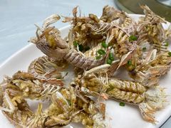 -金海湾海鲜排档(朱家尖店)
