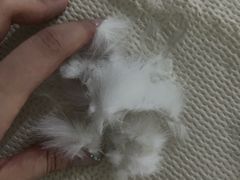 -派特宠物医院(圆融广场店)