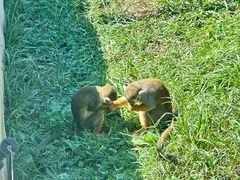 -大连森林动物园