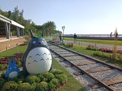 -野狸岛