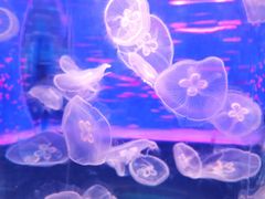 -石林冰雪海洋世界