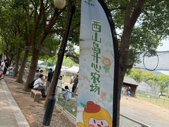 -苏州太湖西山岛开心农场