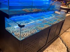 -太湖饭店玉兰厅(自助餐厅)