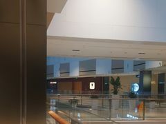 -TOMATITO(无限极荟店)