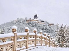 -水绘园