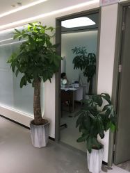 -联合丽格·张菡丽格医疗美容