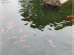 -长阳创谷