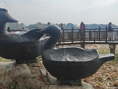 -东湖落雁景区