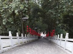 -老君山