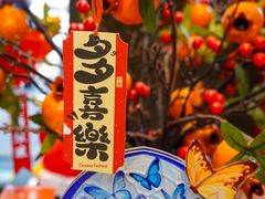 -猫的天空之城概念书店(苏州平江店)