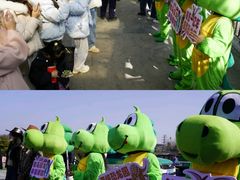 -中国西峡恐龙遗迹园