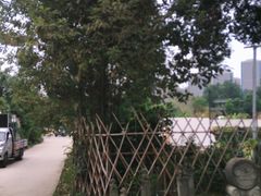 -三圣花乡旅游区