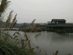 -白鹭湾湿地公园