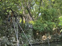 -绮园景区