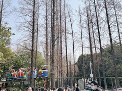 -成飞公园