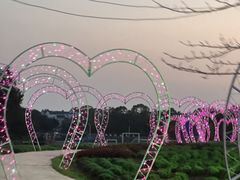 -金卉庄园