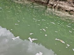 -鱼豆吉·豆浆鱼火锅(宜昌万达店)