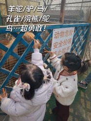 -萌宠亲子动物乐园(槐房万达店)