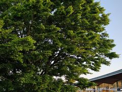 -轻井泽王子购物广场