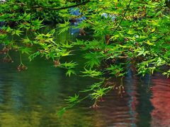 -雅达·阳羡溪山小镇中心