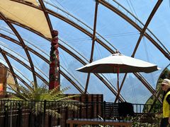 -怀托摩萤火虫洞