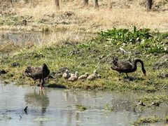 -长兴太湖图影湿地文化园